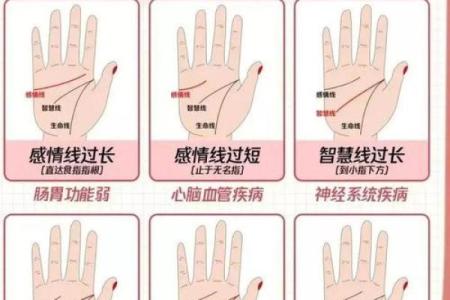 如何看掌纹线算命女性 智慧线长度适中进取心强