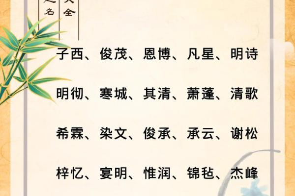 2019年3月28号酉时出生的男孩如何起名姓名