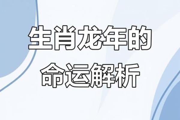 生辰八字能揭示你的生肖