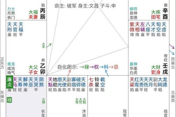 紫薇斗数宫位吉利