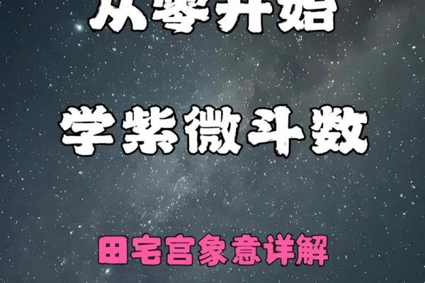 注定紫薇斗数吧