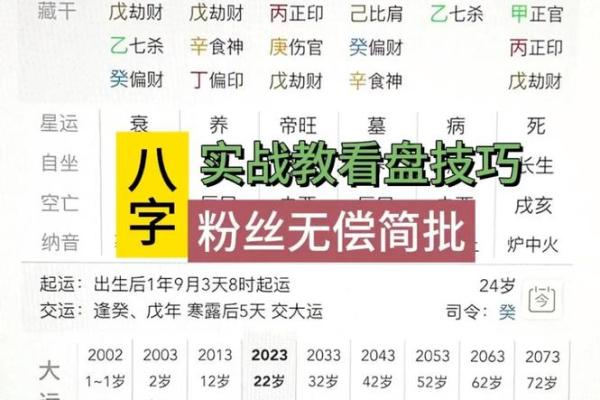八字单项简批说明