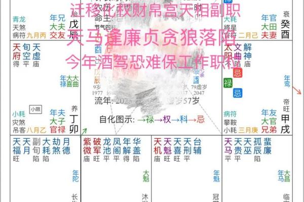 紫薇斗数流年年父