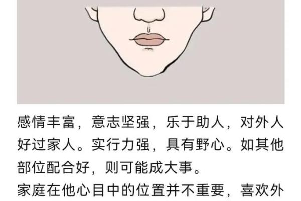 如何从下巴看相算命