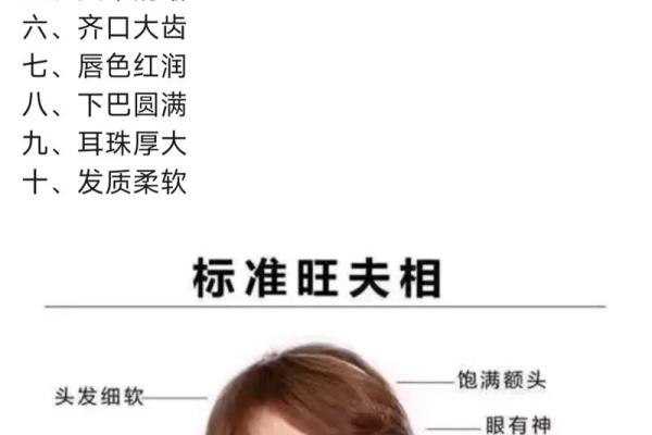 如何从下巴看相算命