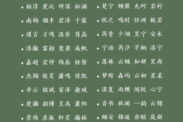 怎样来给属猪酉时出生的男孩起名姓名