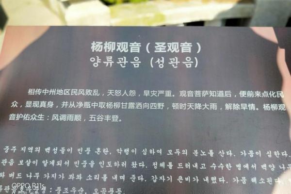 干旱之地观音救打一肖