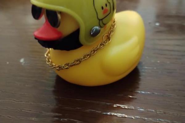 小黄鸭 风水