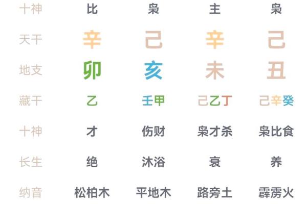 如何通过命运八字掌握人生走势