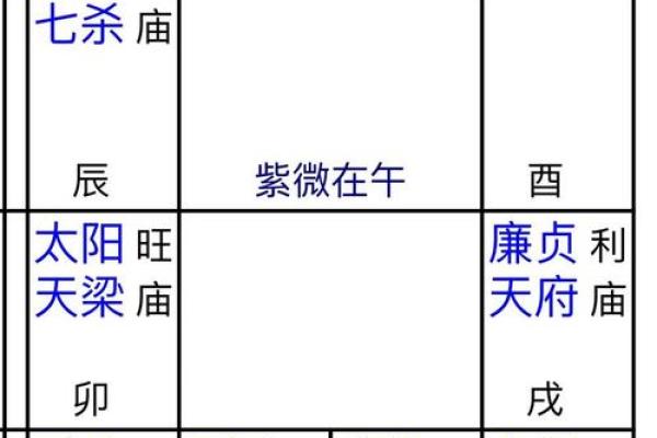 紫薇斗数事业成就