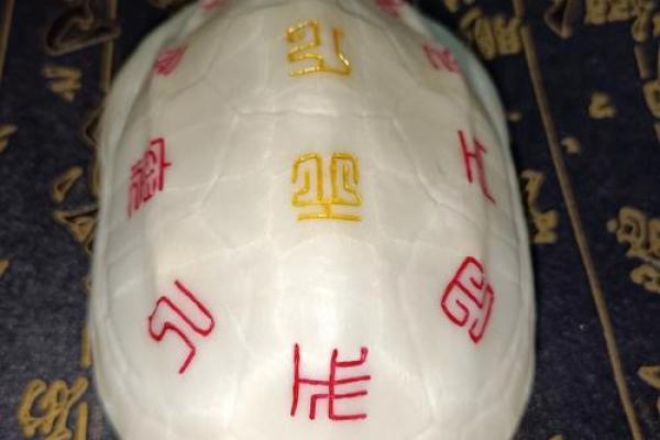 什么龟壳算命比较好