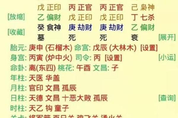 八字己巳大运是什么运势