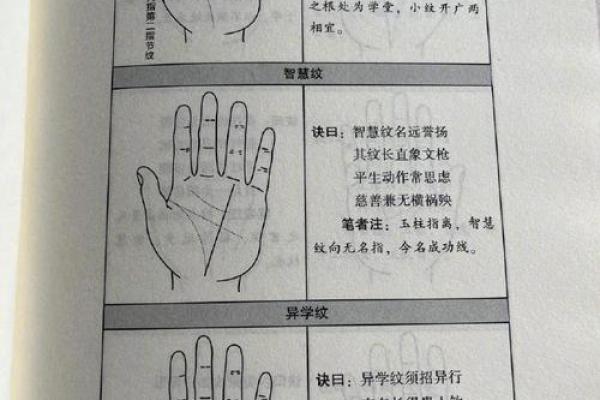 梦见看手相算命