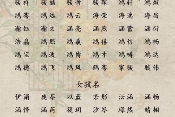 二月份出生的属狗男孩怎么取名字姓名