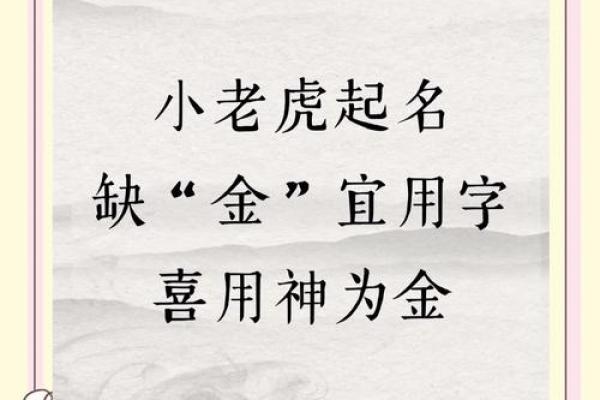 下午3点出生的属虎男孩如何起名，用什么字姓名