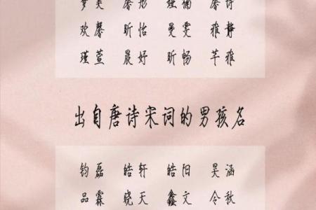2019年3月28号酉时出生的男孩如何起名姓名