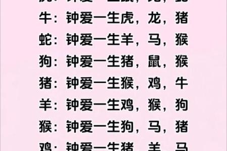 十二生肖配对算命 配婚姻八字十二生肖免费