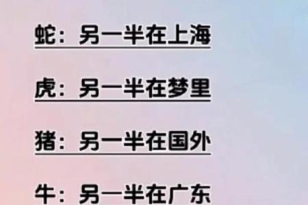 生辰八字两条龙两条蛇