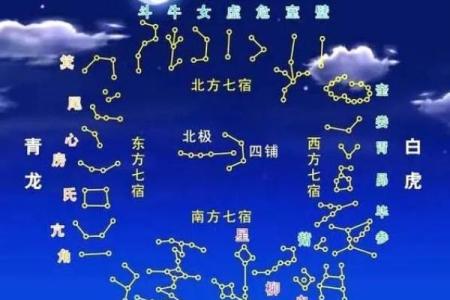 紫薇斗数流年命盘
