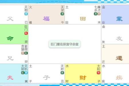 紫微斗数之疾厄宫与诸星，巨门星在疾病宫是什么意思？