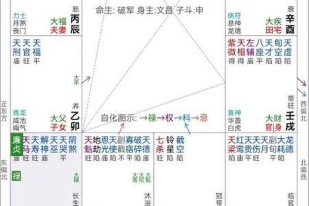 紫薇斗数宫位吉利