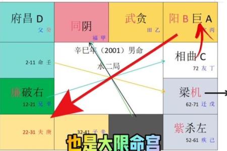 紫微斗数之预测灾厄：一般灾伤