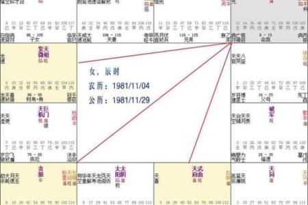 紫微斗数诸星落诸宫之：其它星（以下星曜为本宫主星时的情况，有