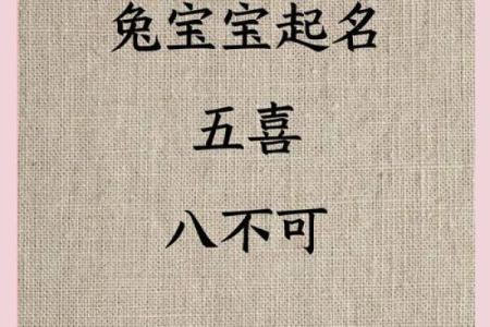 4月份出生的属兔男孩怎样取名字好姓名