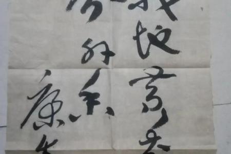 康生八字