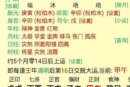 测试八字命格