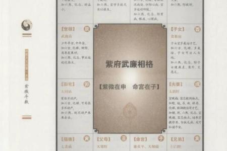 最准紫薇斗数app