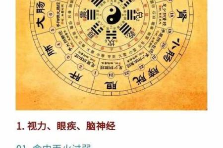 八字看疾病，八字看疾病解读