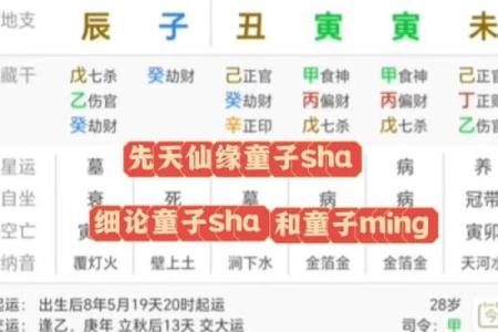童子命算命