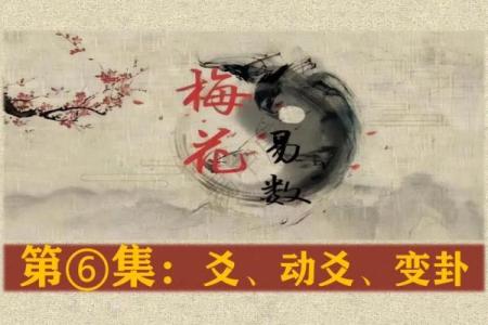算卦紫薇斗数梅花易数
