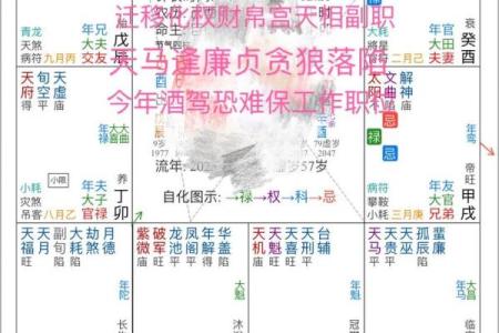紫薇斗数流年年父