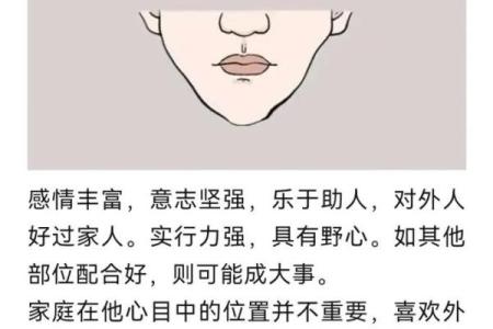 如何从下巴看相算命