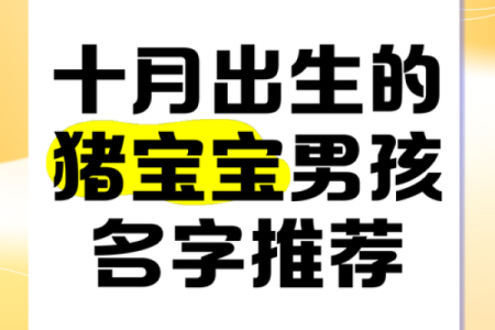 怎样来给属猪酉时出生的男孩起名姓名