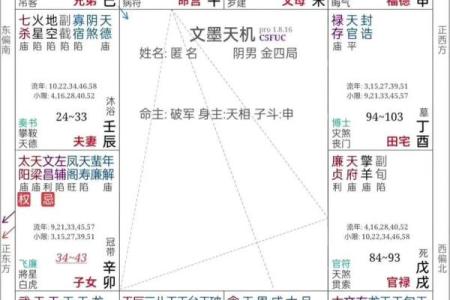 紫薇斗数爱情宫