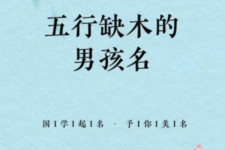 八字为木的字有哪些,八字缺木最吉利的字