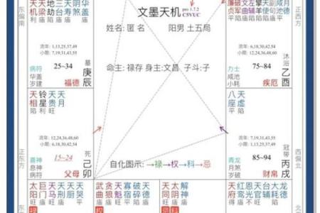紫薇斗数排盘可靠吗