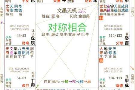 算命紫薇斗数算命