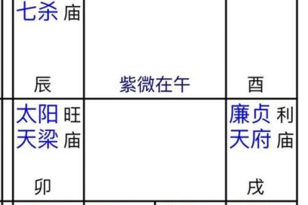 紫薇斗数事业成就