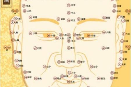 面相算命入门：五行与相貌