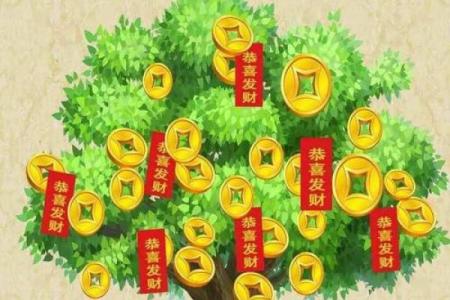 女人最佳风水属相