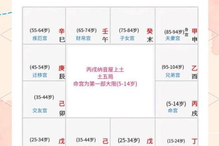在线紫薇斗数排盘分析