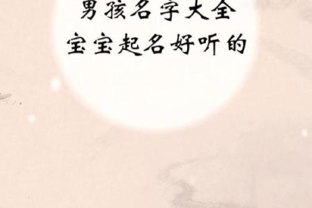 半夜出生属兔的男孩应该怎么样去名字呢姓名