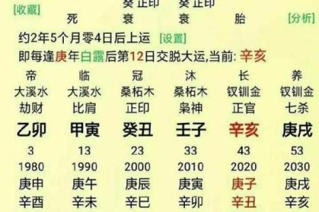 男命八字身旺正官
