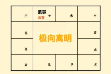 紫薇斗数无格局