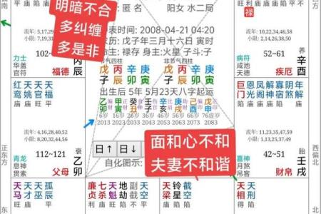 辰宫紫薇斗数
