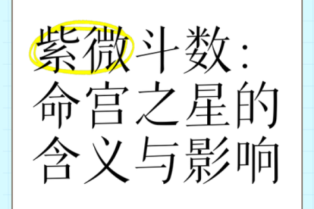 紫薇斗数长寿星